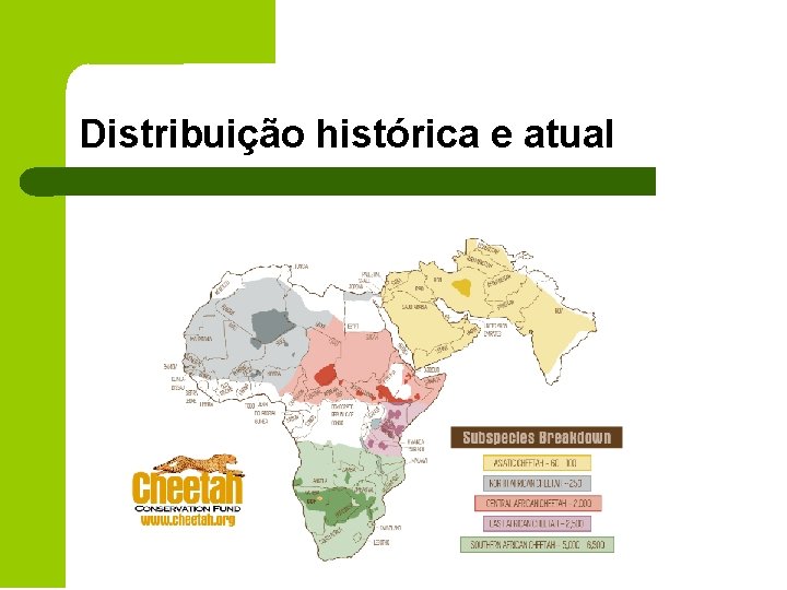 Distribuição histórica e atual 