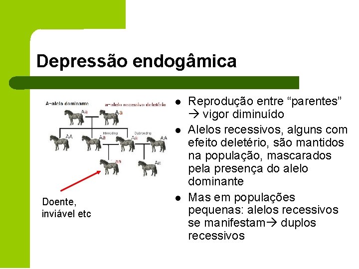 Depressão endogâmica l Aa l Doente, inviável etc l Reprodução entre “parentes” vigor diminuído