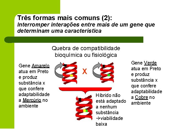 Três formas mais comuns (2): Interromper interações entre mais de um gene que determinam