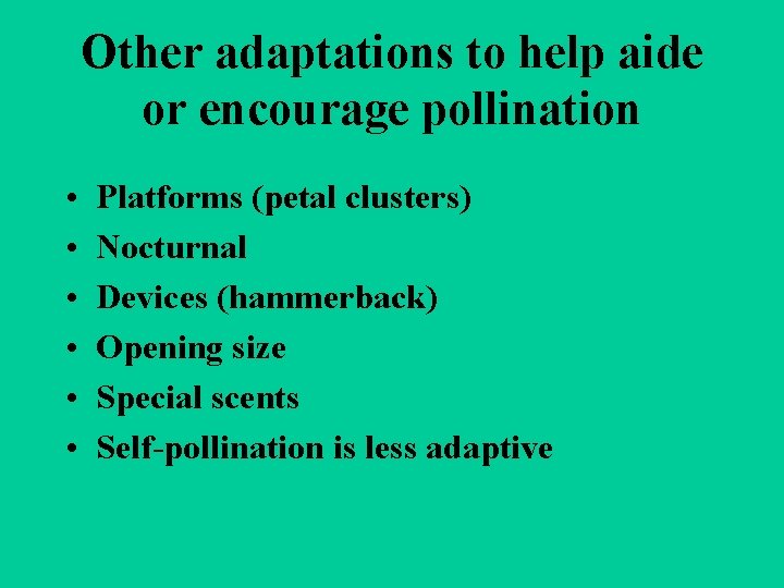 Other adaptations to help aide or encourage pollination • • • Platforms (petal clusters)