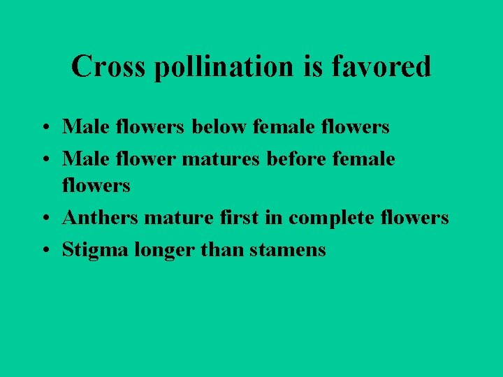 Cross pollination is favored • Male flowers below female flowers • Male flower matures