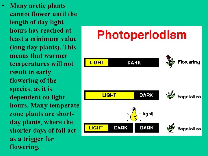  • Many arctic plants cannot flower until the length of day light hours