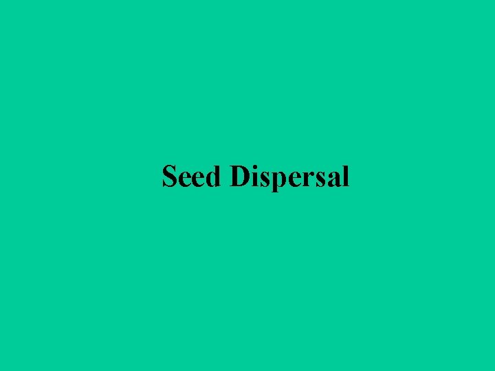 Seed Dispersal 