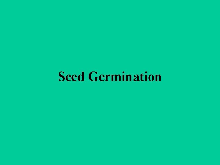 Seed Germination 