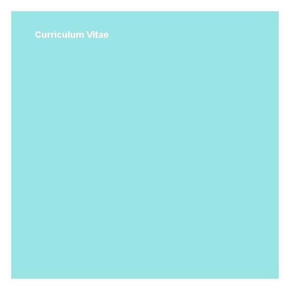 Curriculum Vitae 