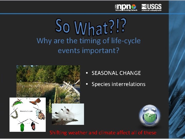 Why are the timing of life-cycle events important? • SEASONAL CHANGE • Species interrelations