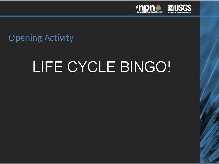 Opening Activity LIFE CYCLE BINGO! 