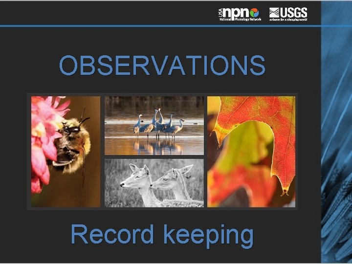 OBSERVATIONS Record keeping 