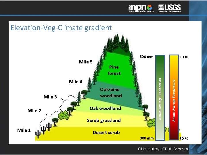 Elevation-Veg-Climate gradient Mile 2 Oak-pine woodland Oak woodland Scrub grassland Mile 1 Annual Average