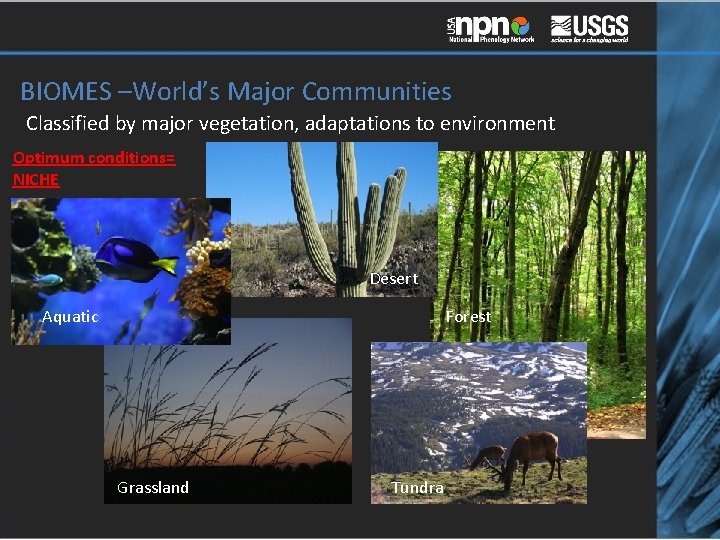 BIOMES –World’s Major Communities Classified by major vegetation, adaptations to environment Optimum conditions= NICHE