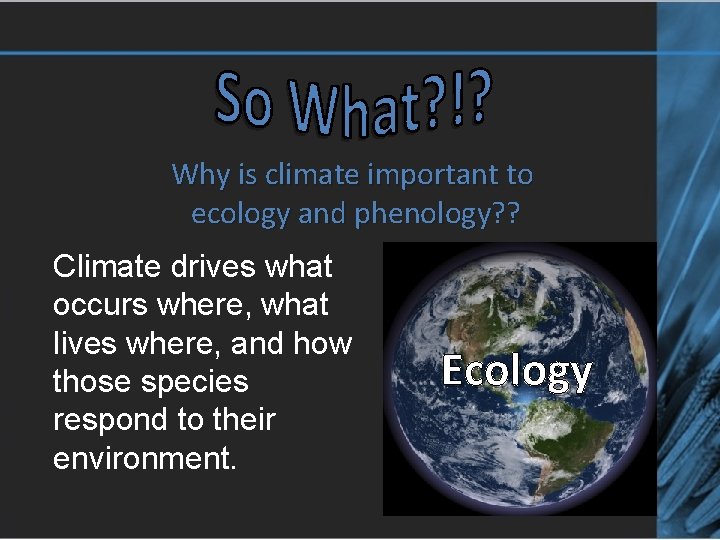 Why is climate important to ecology and phenology? ? Climate drives what occurs where,