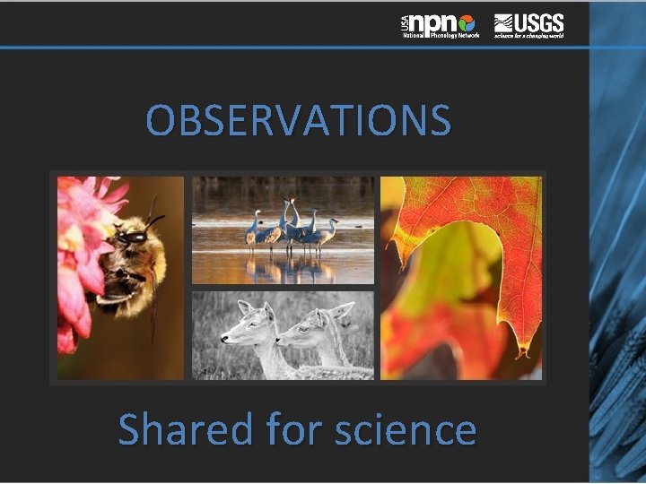 OBSERVATIONS Shared for science 