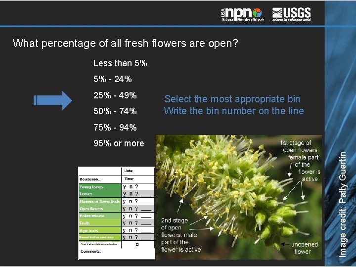 What percentage of all fresh flowers are open? Less than 5% 5% - 24%