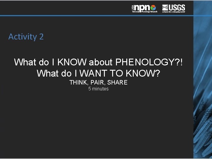 Activity 2 What do I KNOW about PHENOLOGY? ! What do I WANT TO