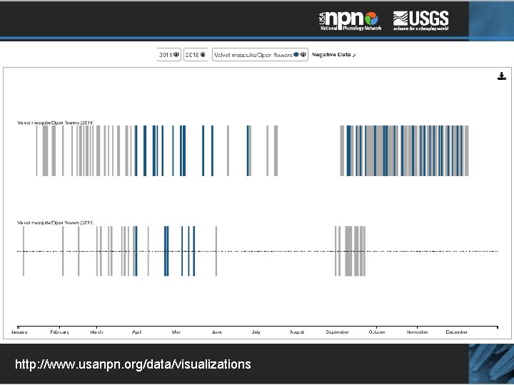 http: //www. usanpn. org/data/visualizations 