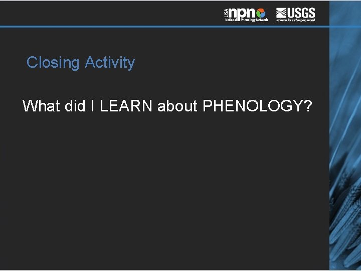 Closing Activity What did I LEARN about PHENOLOGY? 