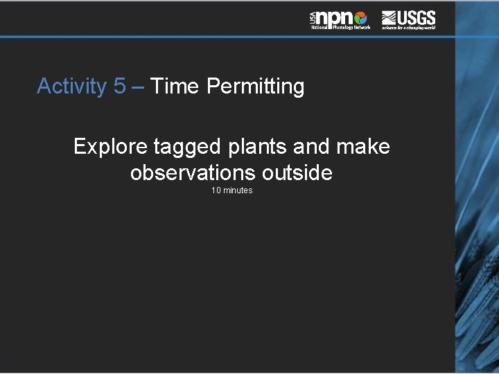 Activity 5 – Time Permitting Explore tagged plants and make observations outside 10 minutes