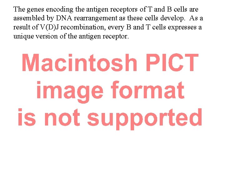 The genes encoding the antigen receptors of T and B cells are assembled by