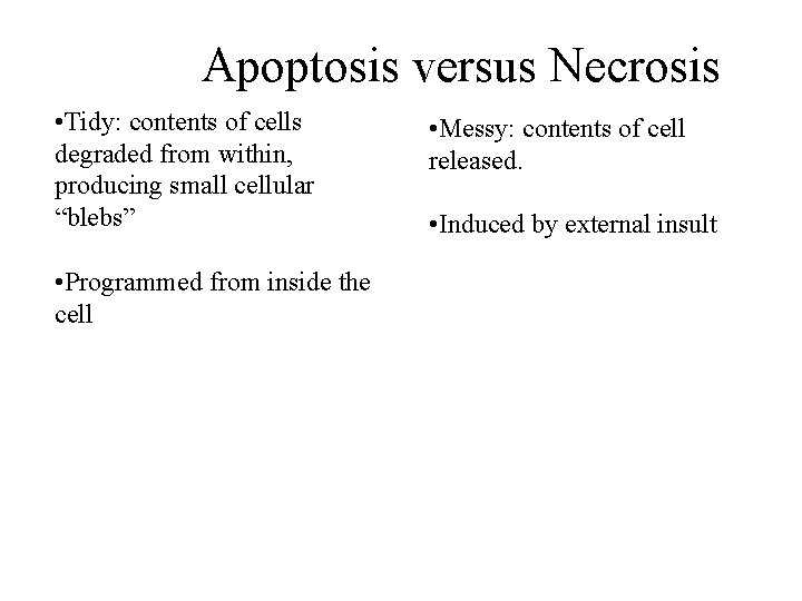 Apoptosis versus Necrosis • Tidy: contents of cells degraded from within, producing small cellular