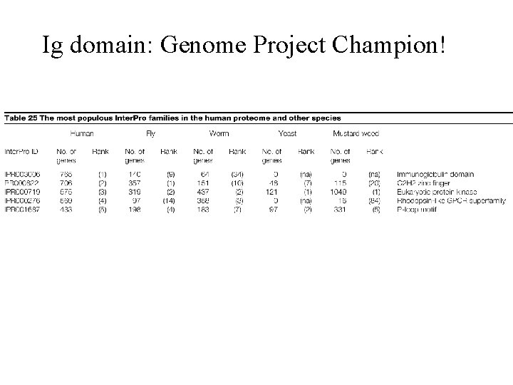 Ig domain: Genome Project Champion! 