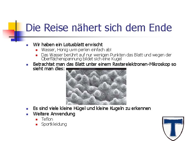 Die Reise nähert sich dem Ende n Wir haben ein Lotusblatt erwischt n n