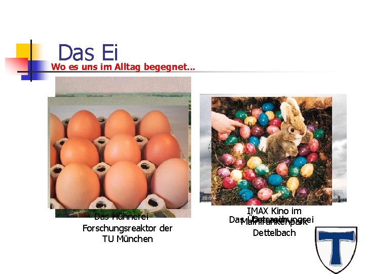Das Ei Wo es uns im Alltag begegnet. . . Das Hühnerei Forschungsreaktor der