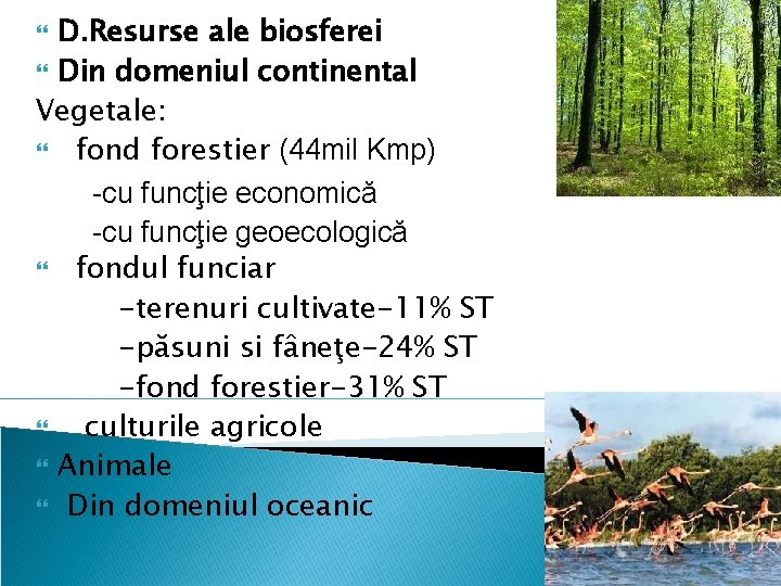 D. Resurse ale biosferei Din domeniul continental Vegetale: fond forestier (44 mil Kmp) -cu