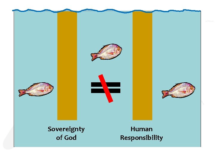 Sovereignty of God Human Responsibility 