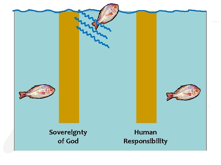 Sovereignty of God Human Responsibility 