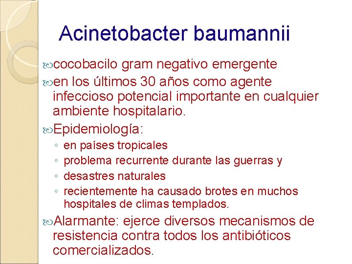 Acinetobacter baumannii cocobacilo gram negativo emergente en los últimos 30 años como agente infeccioso