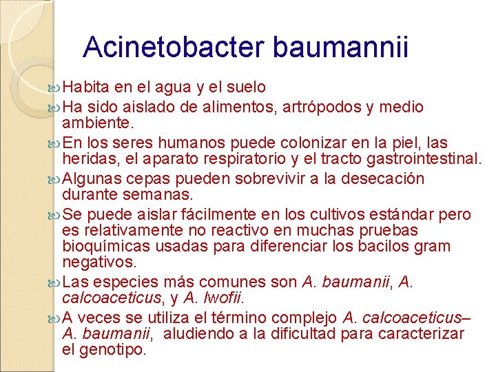 Acinetobacter baumannii Habita en el agua y el suelo Ha sido aislado de alimentos,