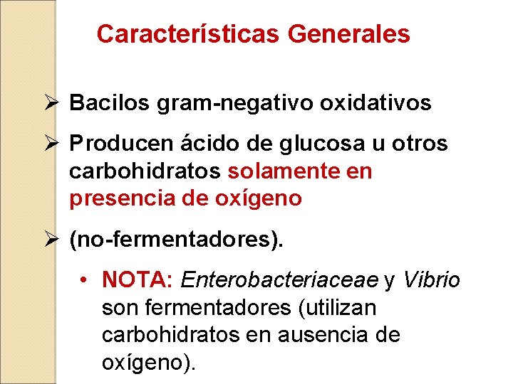 Características Generales Ø Bacilos gram-negativo oxidativos Ø Producen ácido de glucosa u otros carbohidratos