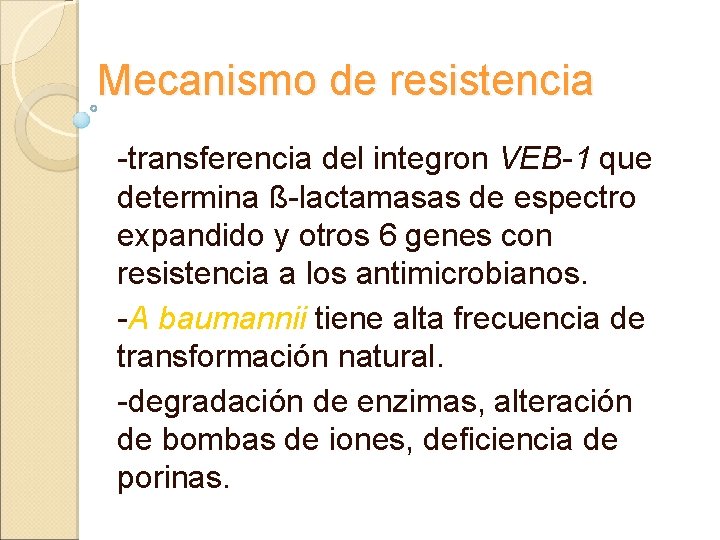 Mecanismo de resistencia -transferencia del integron VEB-1 que determina ß-lactamasas de espectro expandido y