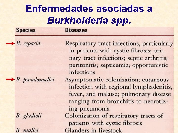 Enfermedades asociadas a Burkholderia spp. 