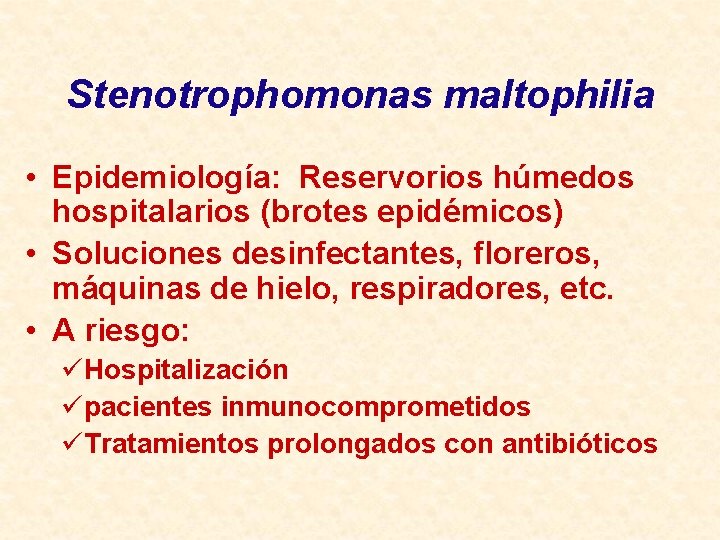 Stenotrophomonas maltophilia • Epidemiología: Reservorios húmedos hospitalarios (brotes epidémicos) • Soluciones desinfectantes, floreros, máquinas