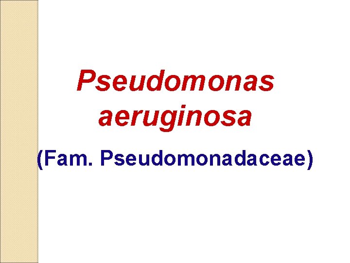 Pseudomonas aeruginosa (Fam. Pseudomonadaceae) 