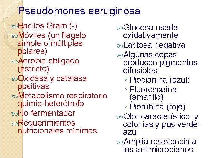 Pseudomonas aeruginosa Bacilos Gram (-) Móviles (un flagelo Glucosa usada oxidativamente simple o múltiples