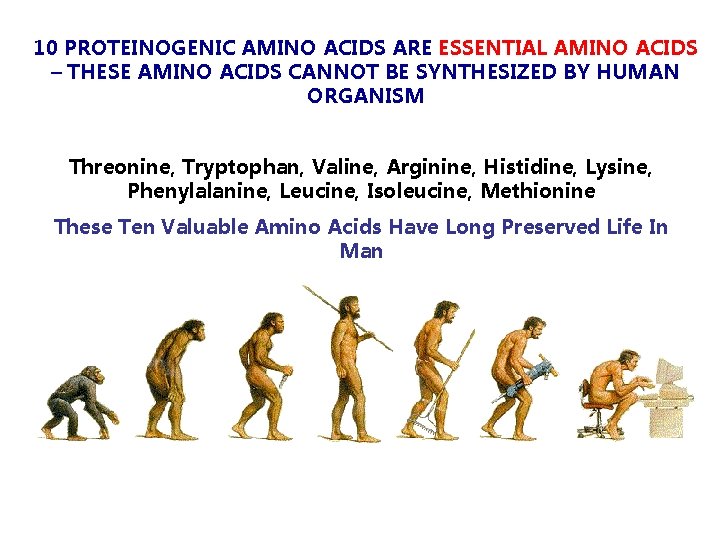 10 PROTEINOGENIC AMINO ACIDS ARE ESSENTIAL AMINO ACIDS – THESE AMINO ACIDS CANNOT BE