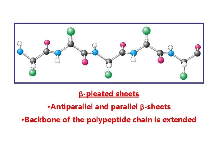  -pleated sheets • Antiparallel and parallel -sheets • Backbone of the polypeptide chain