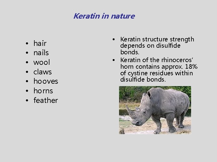 Keratin in nature • • hair nails wool claws hooves horns feather • Keratin
