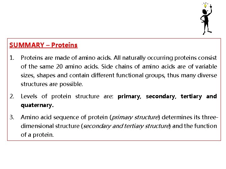 SUMMARY – Proteins 1. Proteins are made of amino acids. All naturally occurring proteins