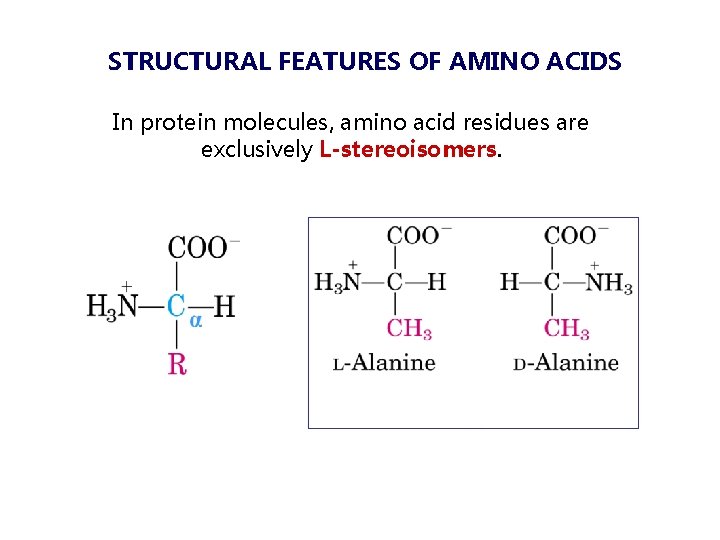 STRUCTURAL FEATURES OF AMINO ACIDS In protein molecules, amino acid residues are exclusively L-stereoisomers.