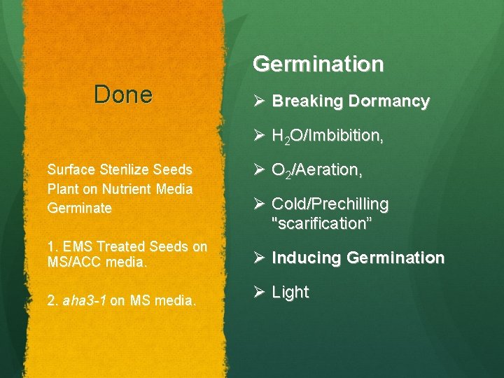 Germination Done Ø Breaking Dormancy Ø H 2 O/Imbibition, Surface Sterilize Seeds Plant on