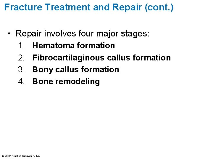 Fracture Treatment and Repair (cont. ) • Repair involves four major stages: 1. 2.