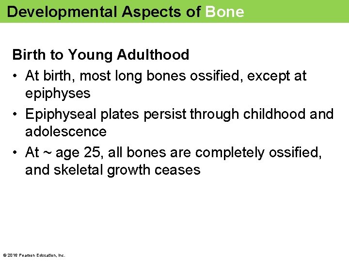 Developmental Aspects of Bone Birth to Young Adulthood • At birth, most long bones
