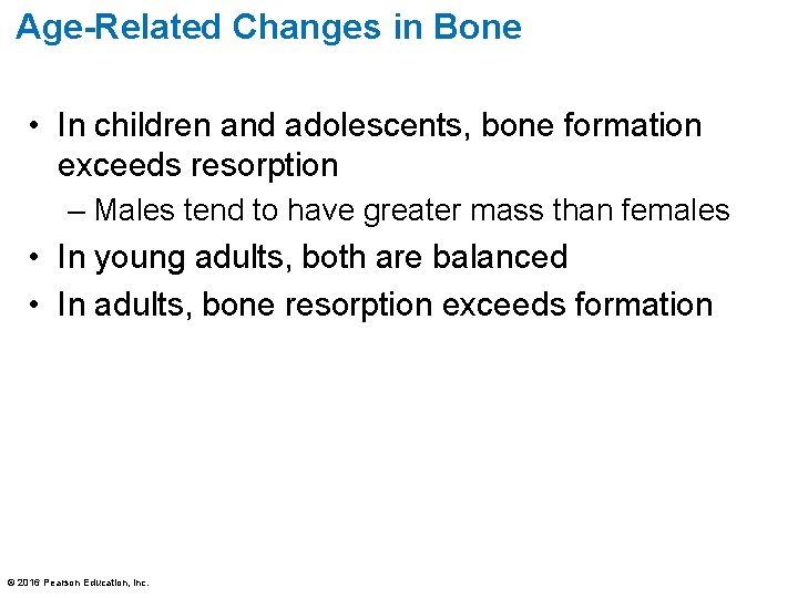 Age-Related Changes in Bone • In children and adolescents, bone formation exceeds resorption –