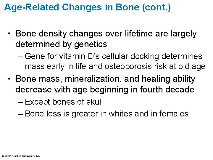 Age-Related Changes in Bone (cont. ) • Bone density changes over lifetime are largely