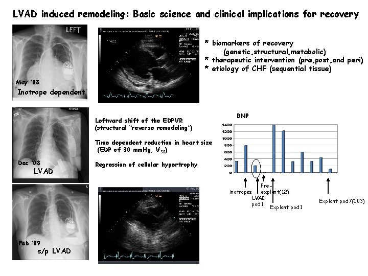 LVAD induced remodeling: Basic science and clinical implications for recovery * biomarkers of recovery