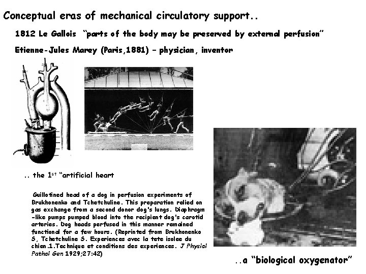 Conceptual eras of mechanical circulatory support. . 1812 Le Gallois “parts of the body