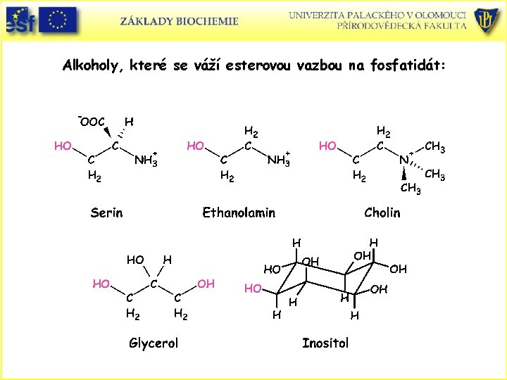 Alkoholy, které se váží esterovou vazbou na fosfatidát: Alkoholy, které se váží esterovou vazbou na fosfatidát: